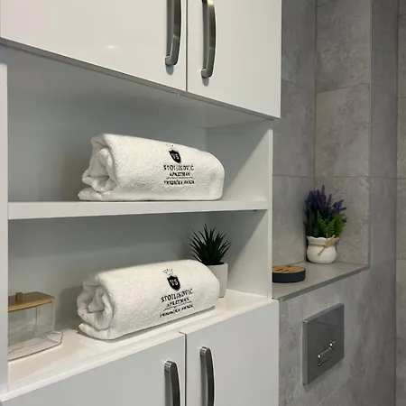 Stoiljkovic Vrnjacka Banja Apartment *